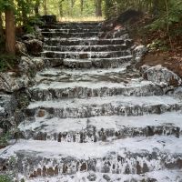 Unkrautvernichtung - Unkrautbekämpfung OHNE Chemie Essen-West - Frohnhausen Vorschau