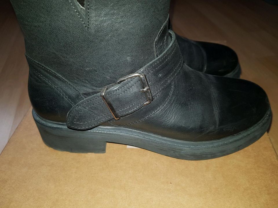 Boots/Stiefeletten von Inuovo wie Neu Gr 38 in Gelsenkirchen