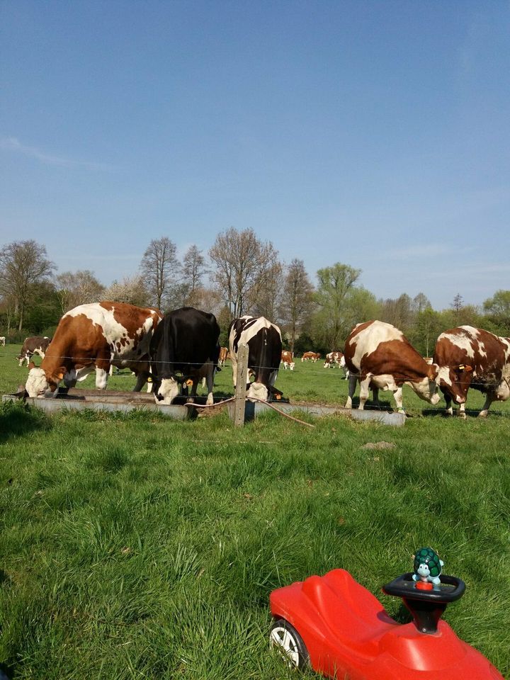 Qualifizierte Tagesmutter in Mettingen auf dem Bauernhof in Mettingen