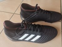 Adidas Fußballschuhe Predator 37 1/3 Rheinland-Pfalz - Hermersberg Vorschau