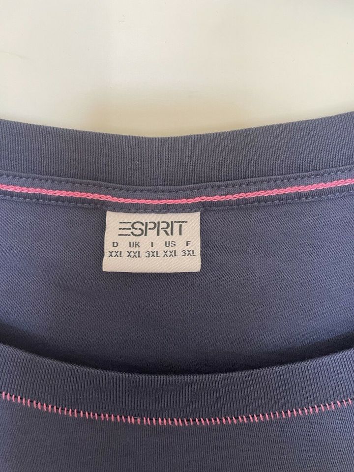 Esprit T-Shirt Gr XXL blau/türkis in Marienheide