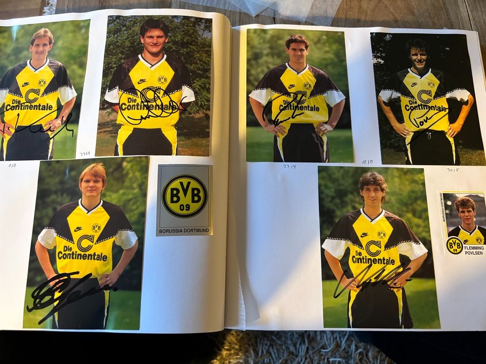 146 Autogrammkarten 90/91 HSV BVB KSC PAULI UERDINGEN BAYERN GLAD in Reutlingen