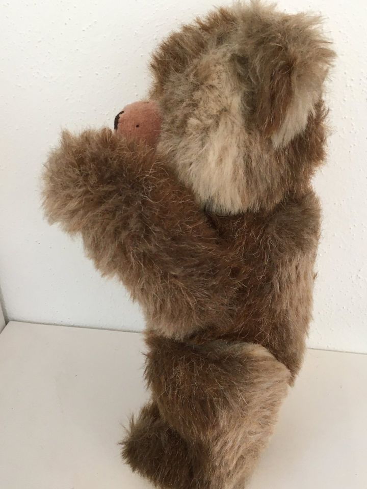 Sammler-Bär, Antiker Bär (35cm) in Ascheberg