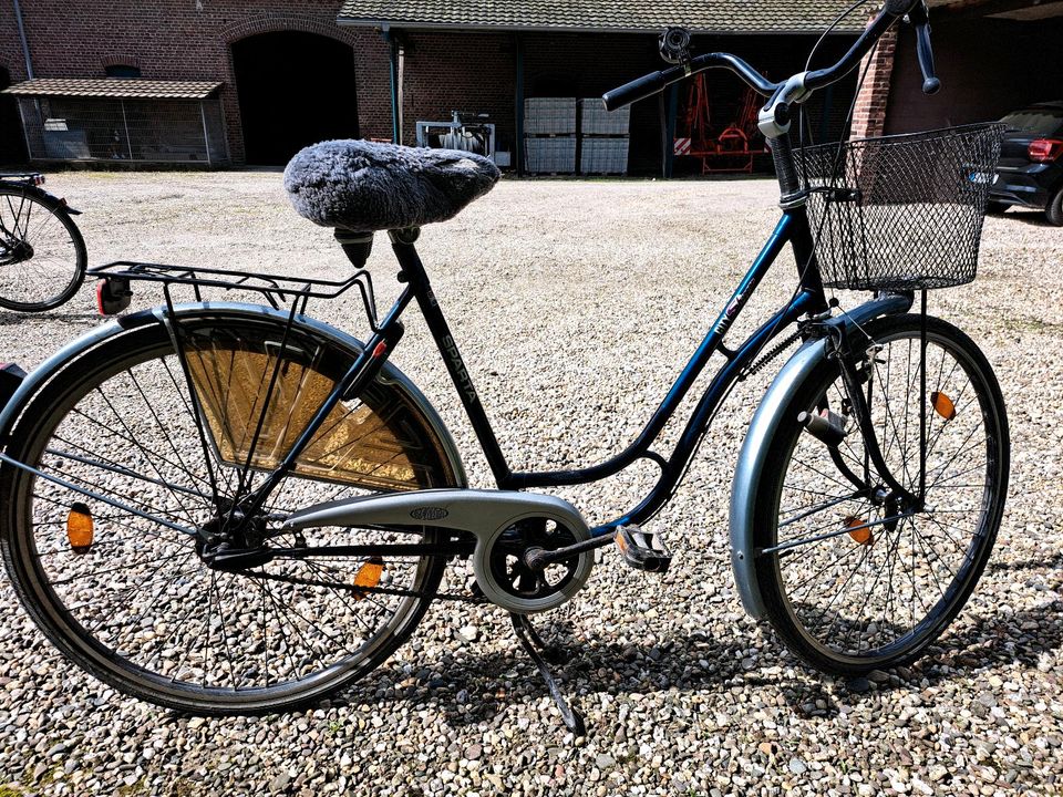 Damen Fahrrad in Kempen