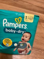 Pampers Babydry Größe 1 Sachsen-Anhalt - Magdeburg Vorschau