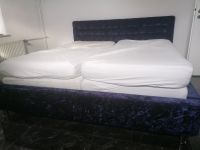 Bett Samt lila 200×200 Dortmund - Innenstadt-Nord Vorschau