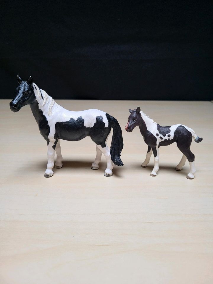 Schleich Pferde Set "Pinto" 13794 + 13795 + 13803 in Bramsche