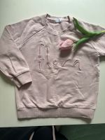 Jamie Kay sweatpullover Pullover Shirt Rose 5 j 104/110 Noa Noa Rheinland-Pfalz - Mainz Vorschau