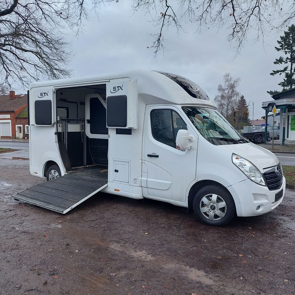 Pferdetransporter STX Horsebox Opel 3,5 t gebraucht, 5-Sitzer in Großderschau