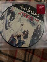 Alice in Chains Down in a hole Limited Edition 7“ Picture Vinyl Schleswig-Holstein - Barsbek Vorschau