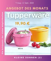 Dosen mit Sonnendeckel Tupperware Tupper Sachsen - Frohburg Vorschau