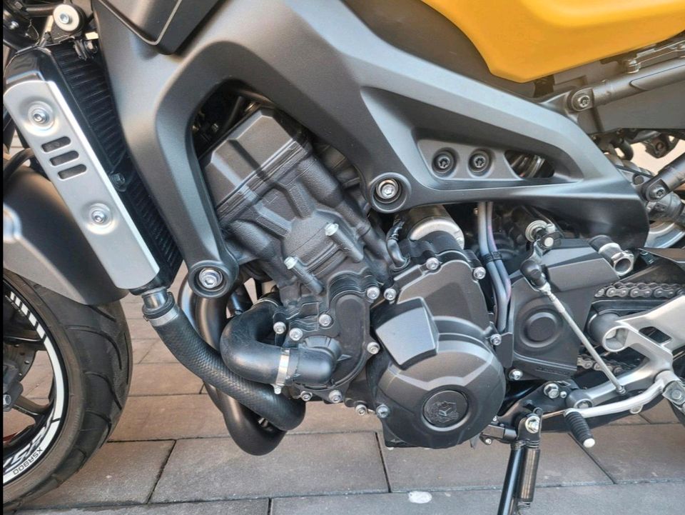 Yamaha XSR900 2019 in Bokensdorf