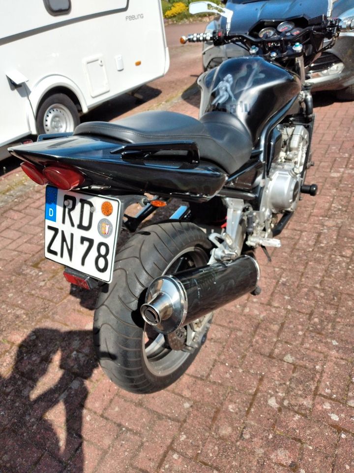 Faser FZS1000, Streetfighter in Gettorf