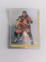 Glänzend WWF Wrestling Merlin Sticker Nr. 229 1993 90er Jahre Thüringen - Klettbach Vorschau