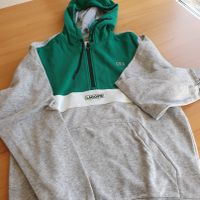 Lacoste Sweatshirt Herren  grün- grau   Fr 4  US  M mit Kapuze, Bayern - Memmelsdorf Vorschau