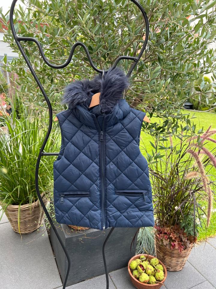 Zara Steppweste Kapuze Fell Übergangsjacke Jacke blau 110/116 in Mörfelden-Walldorf