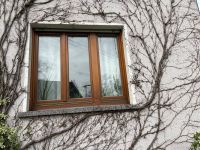 Holzfenster, Fliegengittertür Rheinland-Pfalz - Gondershausen Vorschau