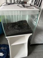 Aquarium 56l Fluval Bayern - Pocking Vorschau