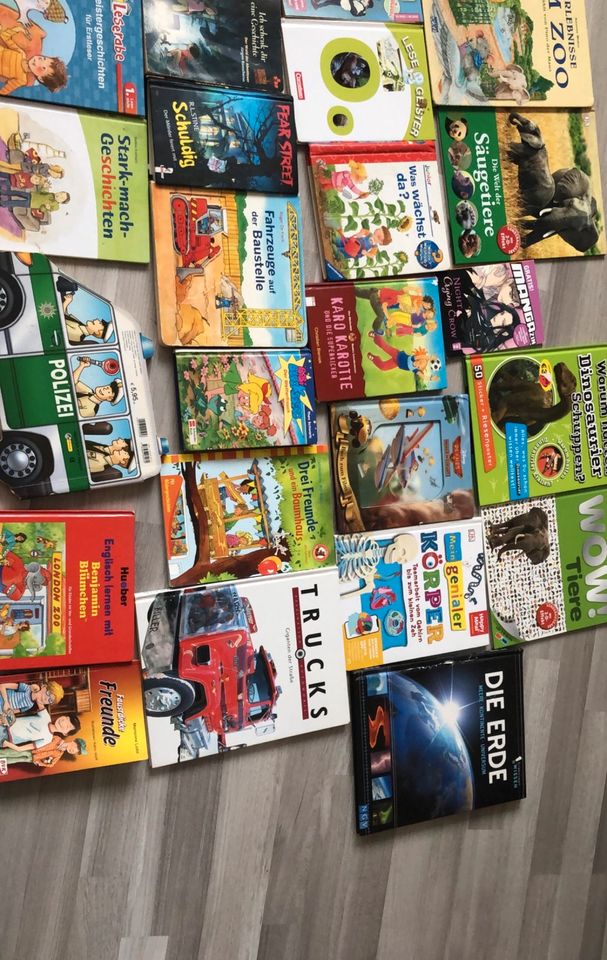 Bücher Sammlung Kinder in Mainz
