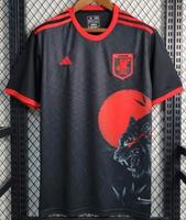 Japan, Fußballtrikot Hessen - Bad Karlshafen Vorschau