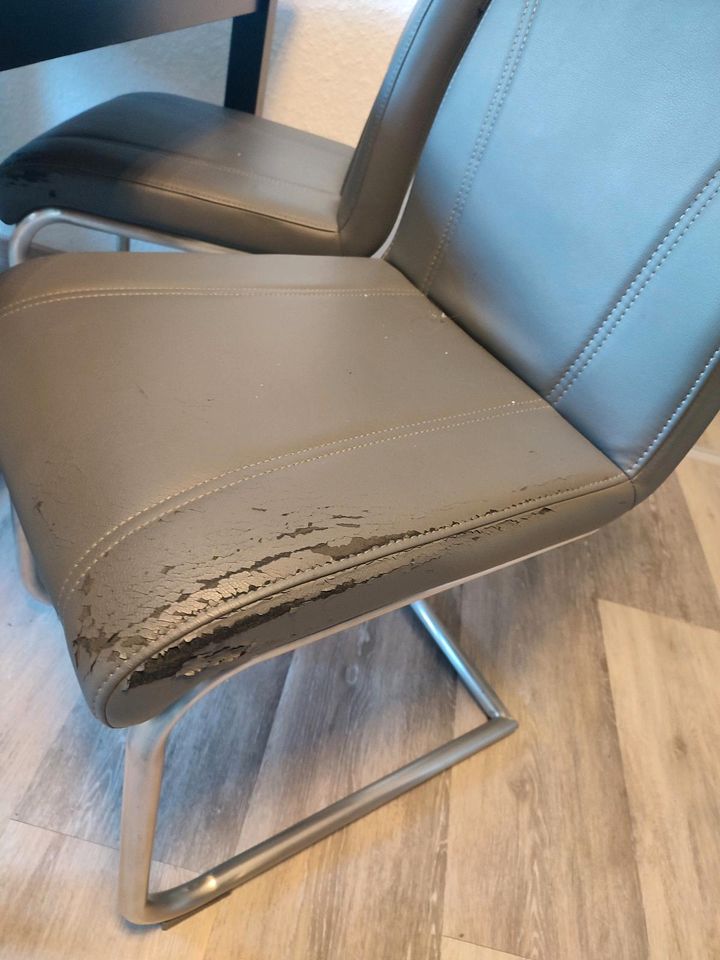 Esstisch Tsich mit 6 Stühlen Massivholztisch schwarz grau in Karlsruhe