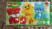 2 Duplo Spielsets Kiel - Mettenhof Vorschau