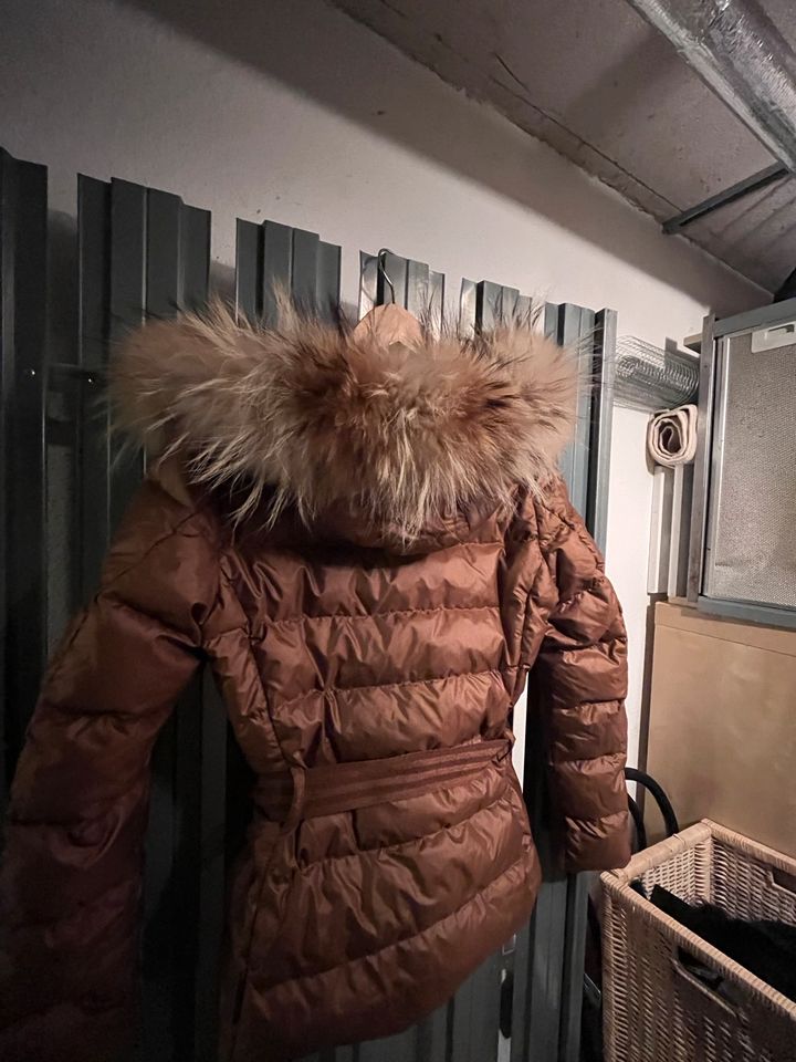 Moncler Daunenjacke cognac bronze S 1 Angers Fellkragen Kapuze in München