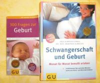 Schwangerschaft und Geburt, 300 Fragen zur Geburt Dresden - Coschütz/Gittersee Vorschau