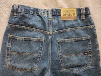 ⭐SOUTHPOLE Baggy Shorts 34 (Tribal,Southpole,Karl Kani)⭐ Hessen - Bad Wildungen Vorschau