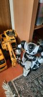 Spielzeugautos, Roboter usw. Baden-Württemberg - Pfullendorf Vorschau