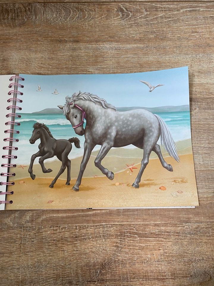 Horse Dreams by Depesche Malbuch in Düren