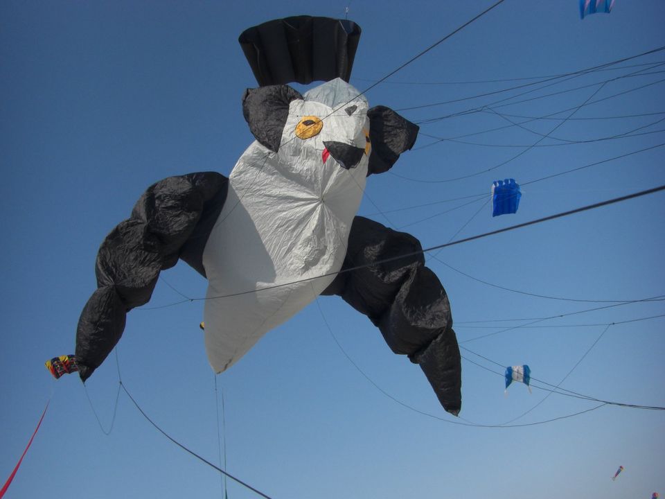 Fledermaus als Stabloser Drachen in Barntrup