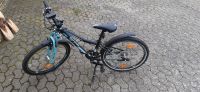 KTM WILD BEE 24er  Fahrrad Hessen - Bad Zwesten Vorschau