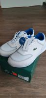 Lacoste Schuhe 37  Neu Dortmund - Schüren Vorschau