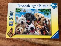 Puzzle 300 Teile Hunde Rheinland-Pfalz - Dienheim Vorschau