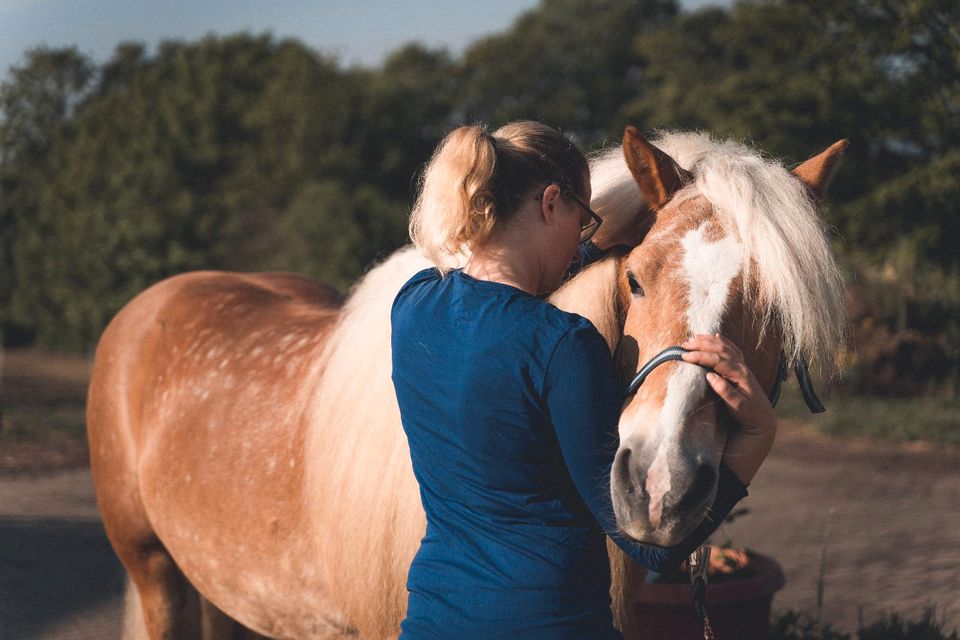 Pferdeosteopathie und Pferdephysiotherapie in Wölfersheim