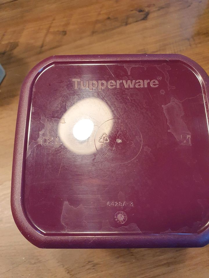 Tupperware Bellevue Set in Neuching