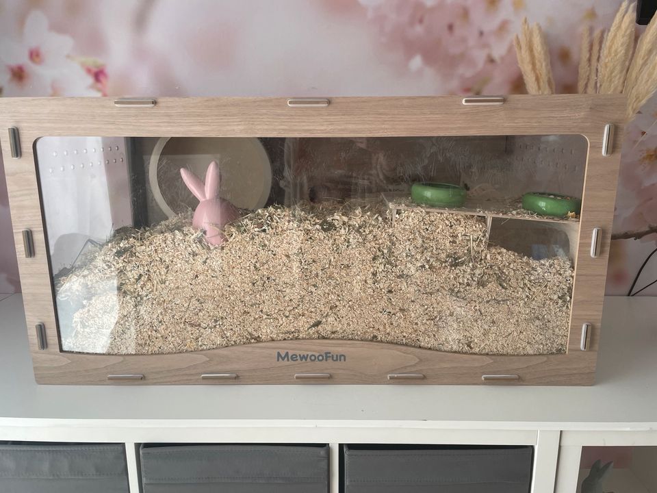 Hamster/Kleintier Terrarium in Gescher