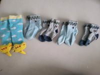 Baby socken-tommy hilfiger& rasselsocken Rheinland-Pfalz - Wallhausen Vorschau