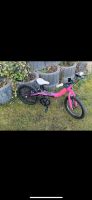 Fahrrad Kinderfahrrad Orbea grow 1 rosa lila 16 Zoll Niedersachsen - Braunschweig Vorschau