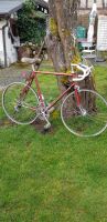 Bonanza Vintage Rennrad (Baujahr 1977) Baden-Württemberg - Lottstetten Vorschau