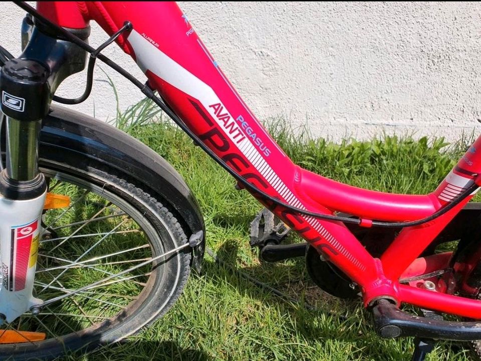 Fahrrad Rad Kinderrad Pegasus in Hammersbach