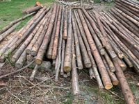 Zaun - Latten - Halbholz- Zaunbretter aus Douglasie Niedersachsen - Bienenbüttel Vorschau