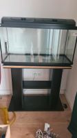 100 l Aquarium + Untertisch + Zubehör Brandenburg - Bernau Vorschau