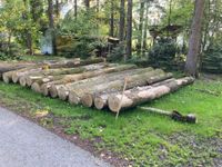 Esche Rundholz Holz, kein Brennholz Bayern - Bad Feilnbach Vorschau