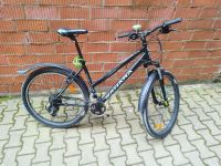 Mountainbike Fahrrad Tecnobike Sahara 27,5" - Zustand sehr gut. Bayern - Fürth Vorschau