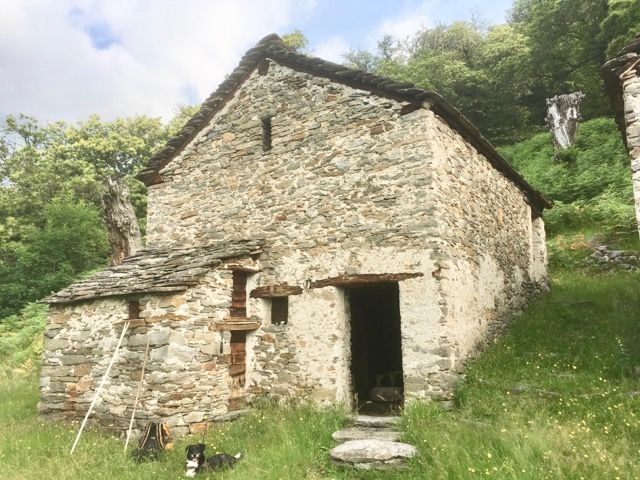 Sehr rustikale Berghütte "Villa Machita" am Comer See, naturnah in Sinn