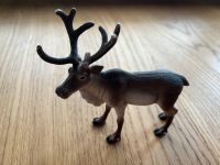 Schleich Hirsch Hessen - Hofbieber Vorschau