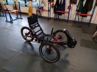 Spezialrad, E-Bike, Dreirad Leipzig - Knautkleeberg-Knauthain Vorschau