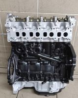 MOTOR GENERALÜBERHOLT 1.7 CDTI A17DT A17DTH A17DTR A17DTJ A17DTE Berlin - Neukölln Vorschau